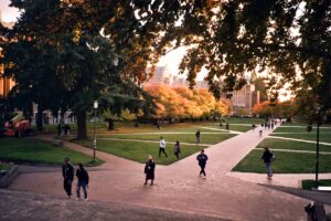 people walking on a path in a park